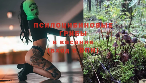 бутират Каменка