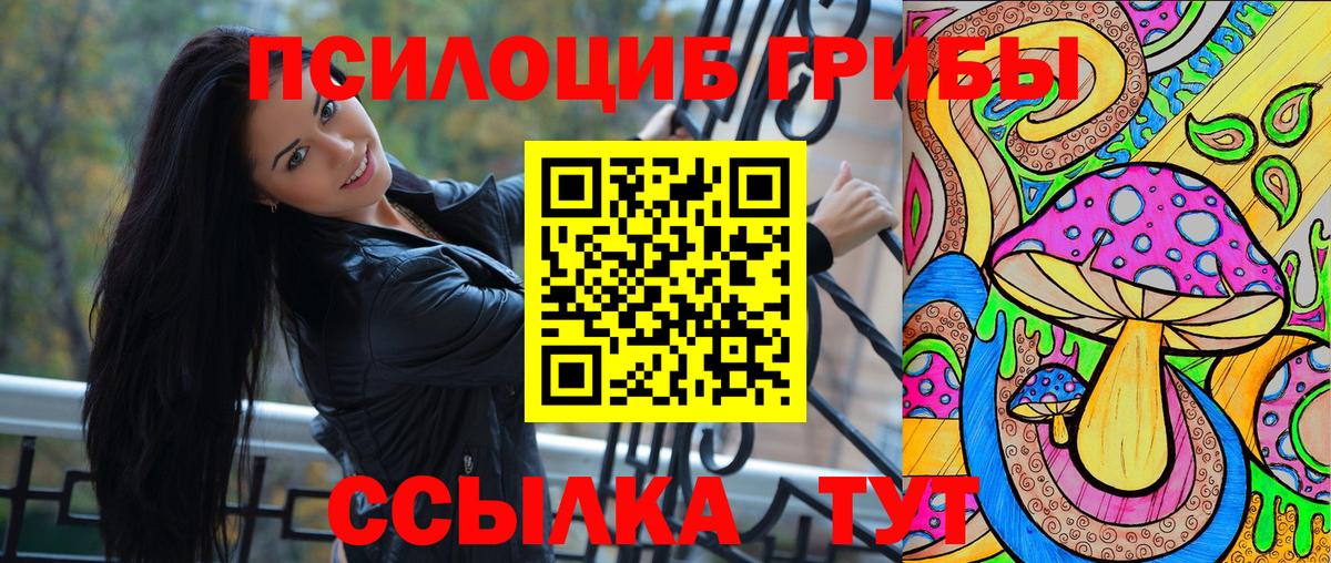 Псилоцибиновые грибы Psilocybine cubensis  Вход с VPN  Когалым  Псилоцибиновые грибы прущие грибы 